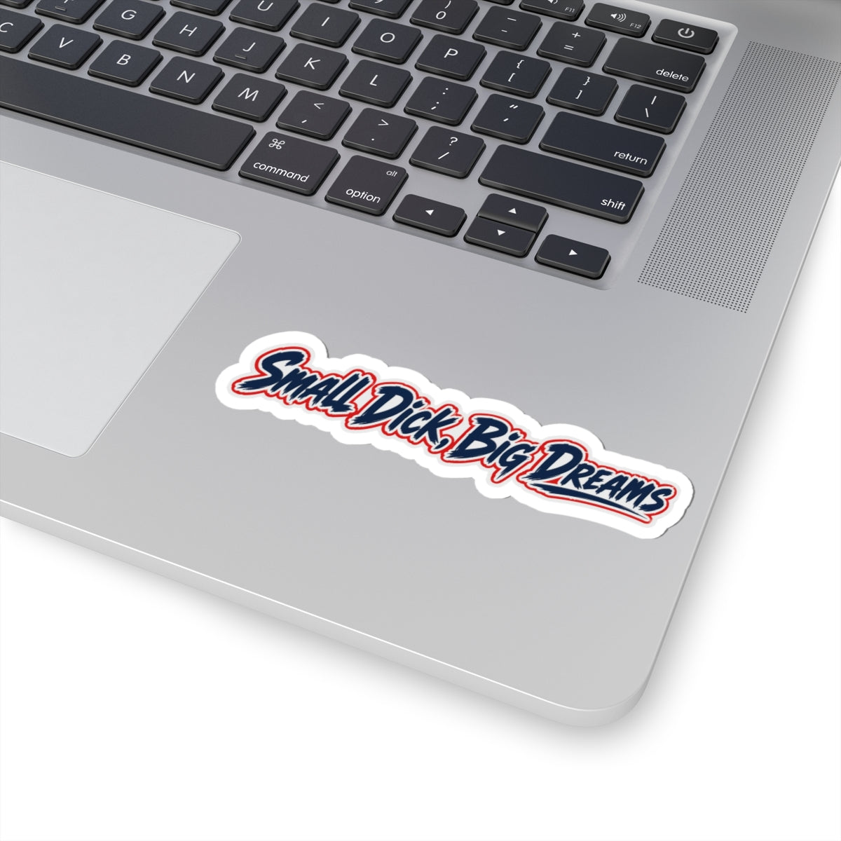 Vinyl Sticker — “Small Dick, Big Dreams”